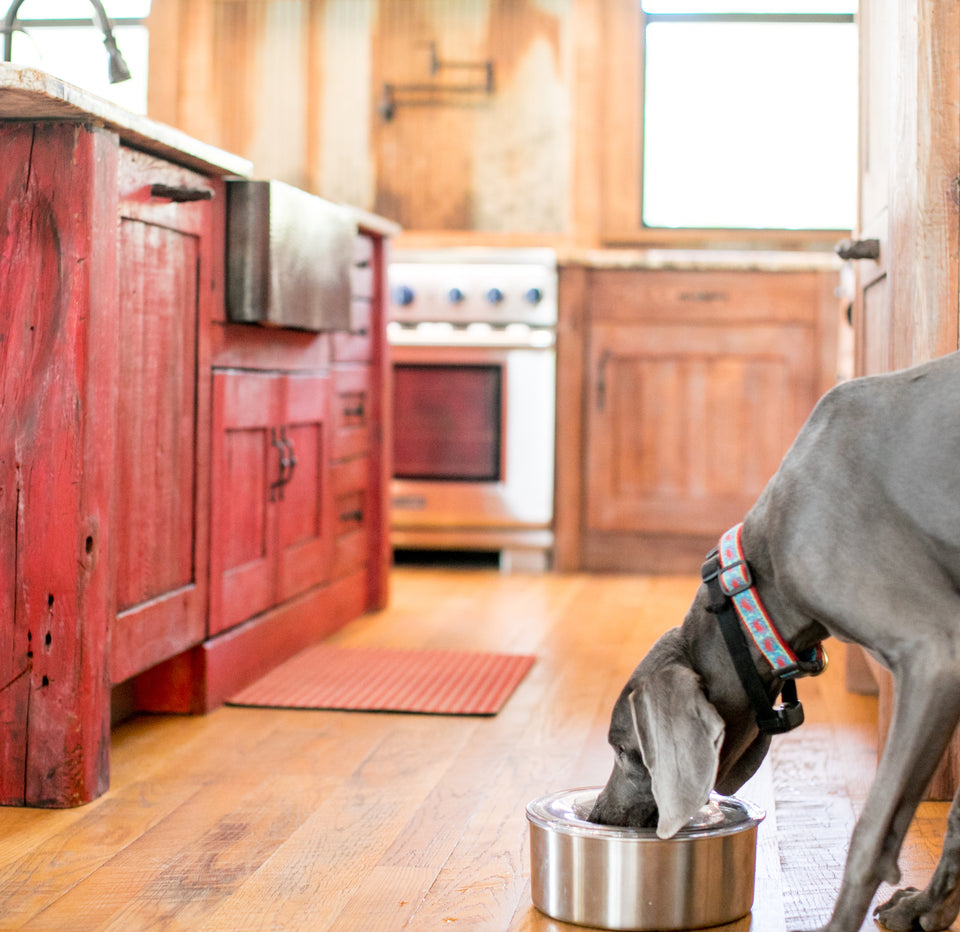 Repurposed kitchen, Dog water bowls, Dog bowls